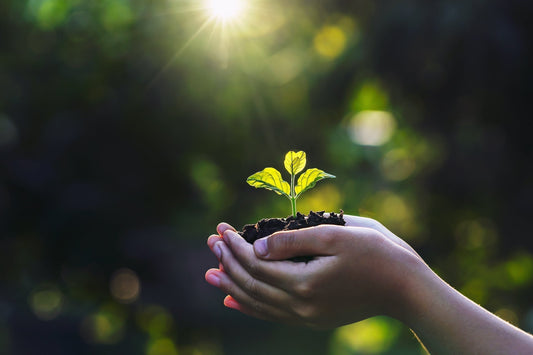 Celebrating Earth Day with These Eco-Friendly Beauty Products
